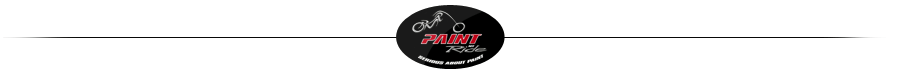 paint my ride