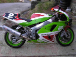 Paint My Ride
